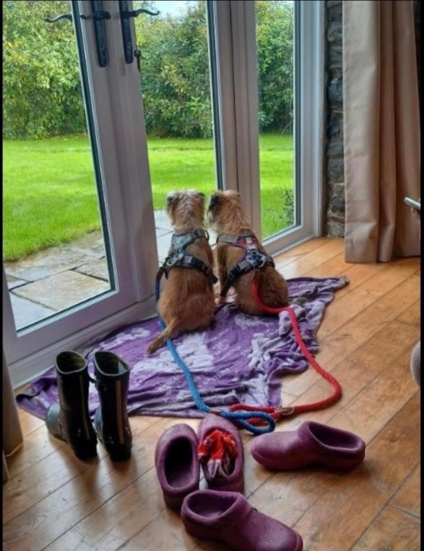 Pippin Lodge Llanwrda Luaran gambar